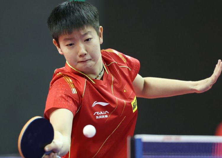 各具特色 各具特色