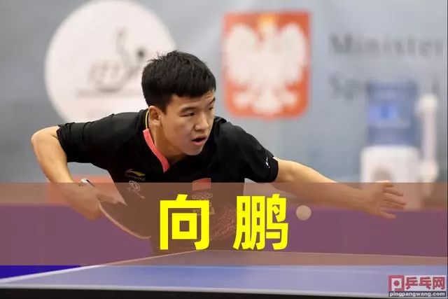 射手與側翼 射手與側翼